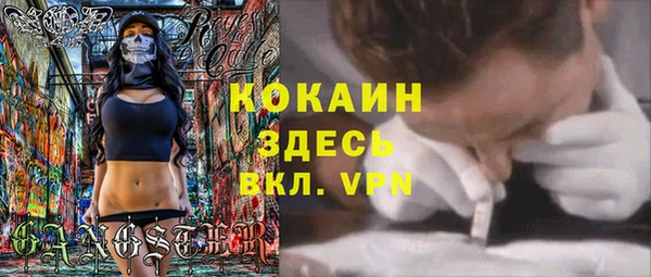 меф Арсеньев