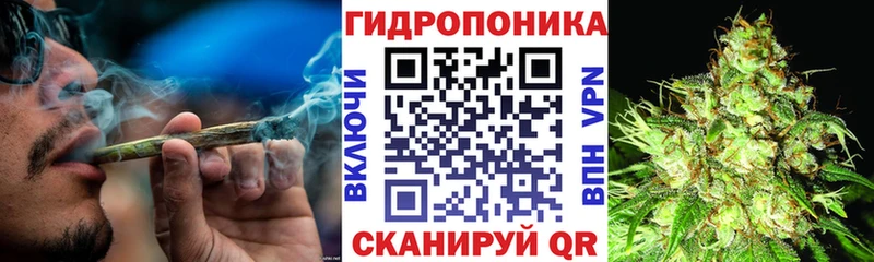 Канабис MAZAR  Шенкурск 